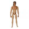  Artikelbild 1 des Artikels “Barnes Basic Figure 1:6 “
