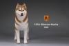  Artikelbild 1 des Artikels “Siberian Husky Dog (Brown) 1:6 “