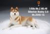  Artikelbild 1 des Artikels “Siberian Husky Dog 2.0 (Beige) 1:6 “
