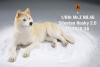  Artikelbild 1 des Artikels “Siberian Husky Dog 2.0 (Beige) 1:6 “