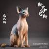  Artikelbild 1 des Artikels “Sphynx Canadian Hairless Cat (Beige) 1:6 “