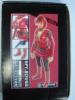  Artikelbild 1 des Artikels “Spy Girl Red Outfit “