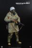 Artikelbild 1 des Artikels “Ungarn 45 - Wiking Division 1/6 “