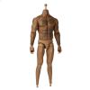  Product image 1 of the product “Tatoo Body (Brown) 1/6 ”