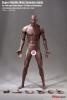  Product image 1 of the product “Seamless Ultra Muscle Body M35 1/6 ”