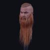 Product image 1 of the product “1/6  Viking WARLORD Head ”