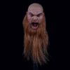  Artikelbild 1 des Artikels “1:6  Viking Kopf VANQUISHER “