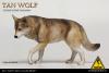  Product image 1 of the product “Wolf (Brown) 1/6 ”
