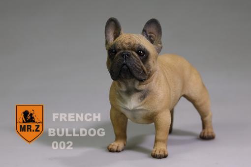 MR.Z French Bulldog 02 1:6 