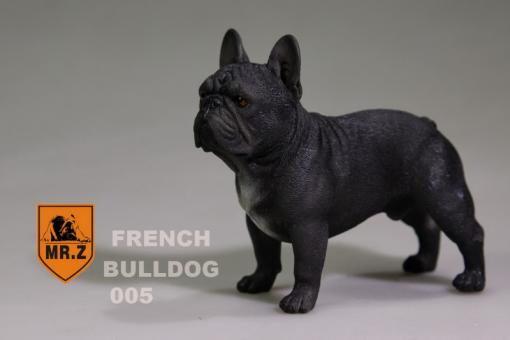 MR.Z French Bulldog 05 1:6 