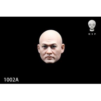1:6 Asian Male Headsculpt 