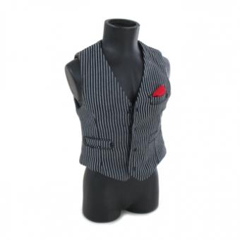 Vest with Stripes 1/6 