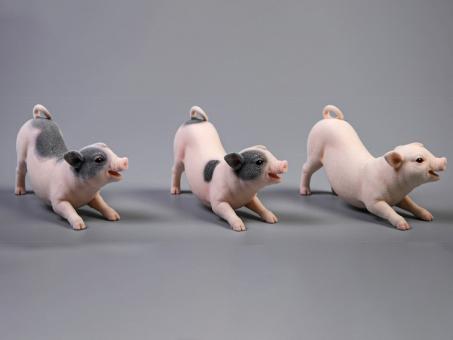 Kleines Schweinchen (Set 3 Stk) 1:6 