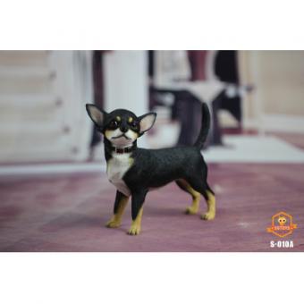 Chihuahua Dog (Black) 1:6 
