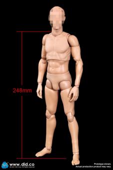 Caucasian Male New Advanced Body (Slim Version) 1:6 