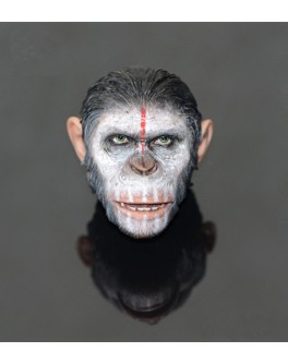 Ape Head 
