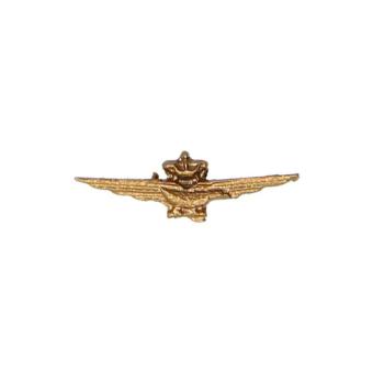 Diecast Second War Italian Pilot Wings (Gold) 1/6 