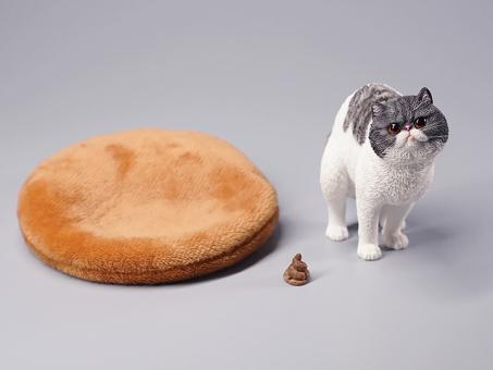 Exotic Shorthair Cat Half Squat (Ver. B) 1/6 Scale Figure 