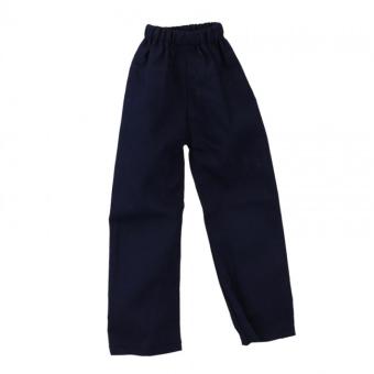 Female Asian Traditional Pants (Blue) 1/6 