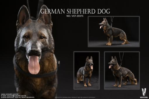 German Shepherd Dog (Brown) 1/6 