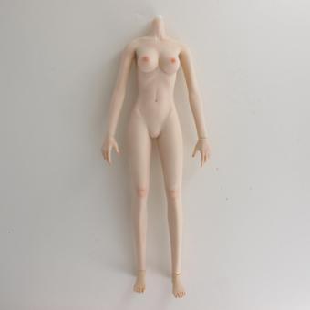 Caucasian Seamless Female Body (Middle Bust) -  1:6 