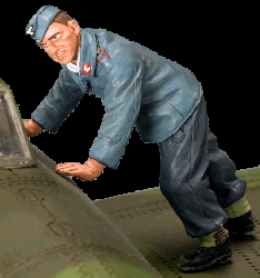 Luftwaffe: Gallands Crew Chief 