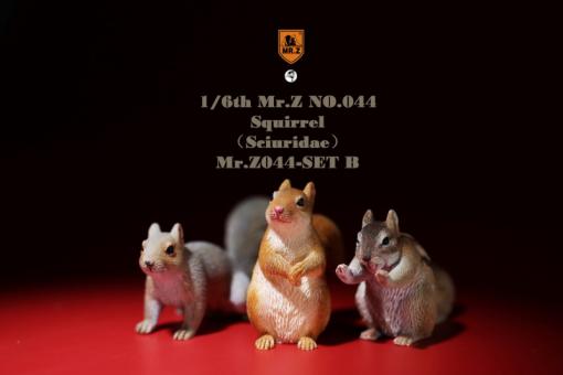 Squirrels Set 1/6 B 