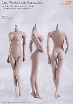 Phicen Body Pale - middle Breat Size 