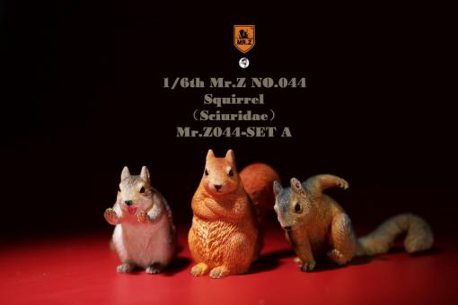 Squirrels Set 1/6 
