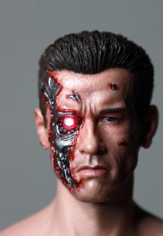 1:6 Scale BD Terminator Headsculpt LED 