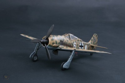 FW190 Tropical Version limited 100 edition 