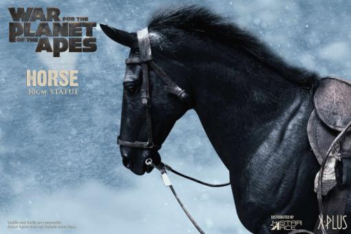 War Of The Planet Of The Apes - Horse 