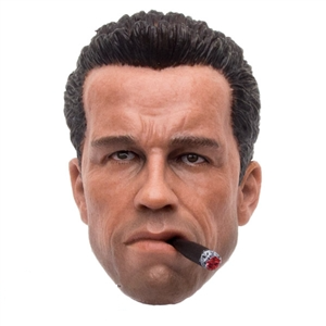 Arnold Cigar and Head 1:6 
