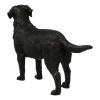  Artikelbild 2 des Artikels “Labrador Retriever Dog 1:6 “