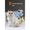  Artikelbild 2 des Artikels “Maine Coon Cat (Beige) 1:6 “