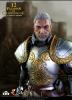  Product image 2 of the product “12 Paladins of Charlemagne ”