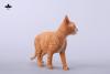  Artikelbild 2 des Artikels “1/3 Scale Devon Rex Cat (Orange) “