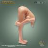  Product image 2 of the product “Ultimate Female Body ”