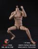  Artikelbild 2 des Artikels “1:6  Super Sports Body “