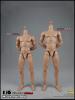  Product image 2 of the product “1/6 2.0 Long Neck male Body HIGH (narrow shoulders) ”
