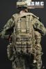  Artikelbild 2 des Artikels “USMC 2nd MARINE EXPEDITIONARY BATTALION “