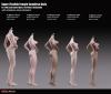  Artikelbild 2 des Artikels “TBLeague/Phicen Body  - mittler Oberweite - Hautfarbe Sun-Tan “