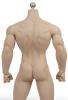  Artikelbild 2 des Artikels “Phicen Body Male 1:6 “