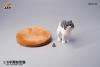  Product image 2 of the product “Exotic Shorthair Cat Half Squat (Ver. B) 1/6 Scale Figure ”