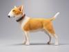  Artikelbild 2 des Artikels “Bull Terrier (Ver.B) 1/6 Scale Figure “