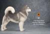  Artikelbild 2 des Artikels “Alaskan Malamute Dog (Grey) 1:6 “