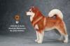 Artikelbild 2 des Artikels “Alaskan Malamute Dog (Orange) 1:6 “