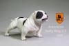  Artikelbild 2 des Artikels “MR.Z American Pitbull 2.0 Dog (White) 1:6 “