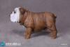  Artikelbild 2 des Artikels “British Bulldog (Brown) 1:6 “
