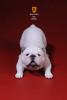 Artikelbild 2 des Artikels “British Bulldog Dogs Set (White) 1:6 “